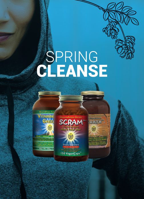 Fast Facts About Raw Elements’ Spring Cleanse Protocol