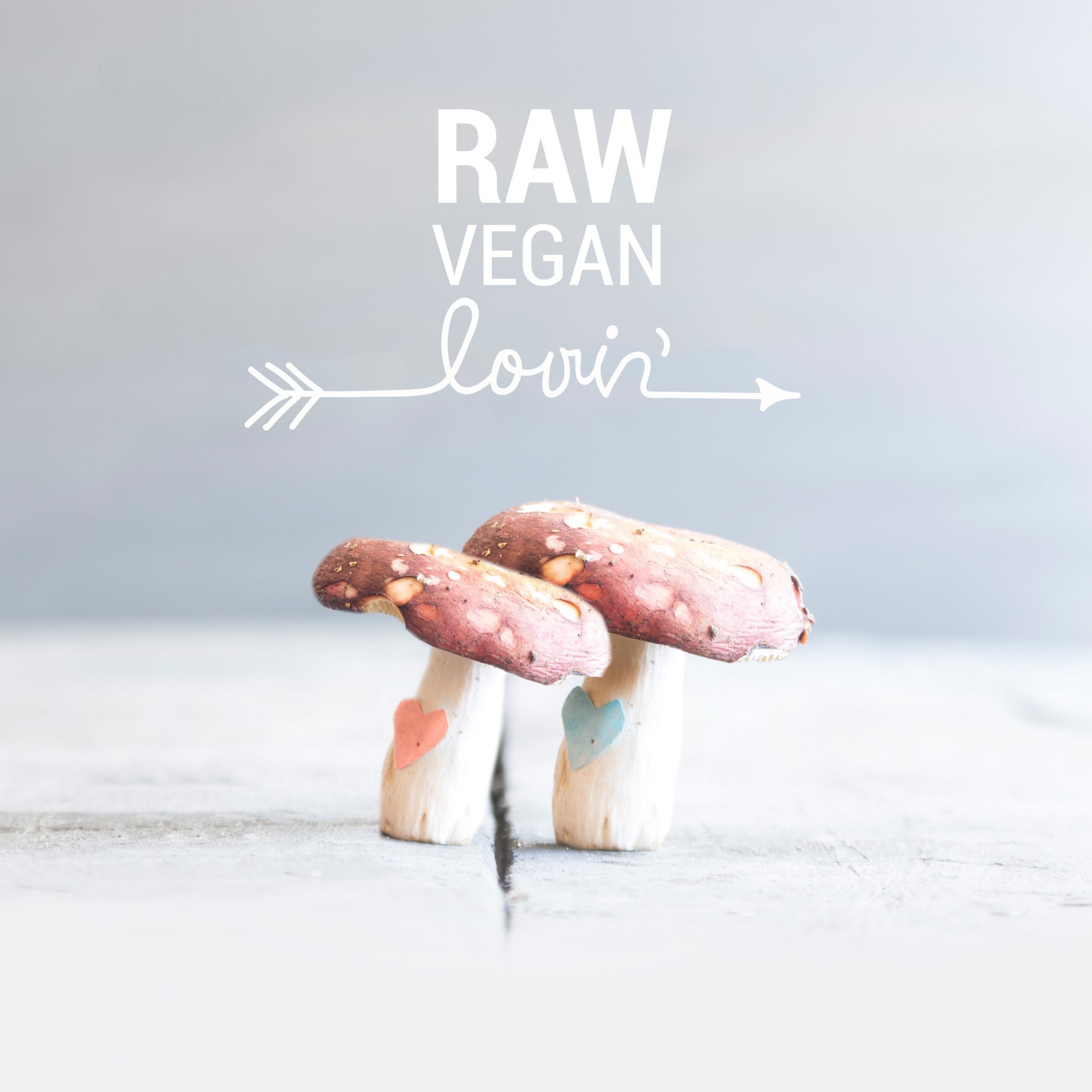 Raw Vegan Lovin’